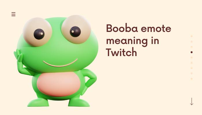 Booba emote meaning in Twitch