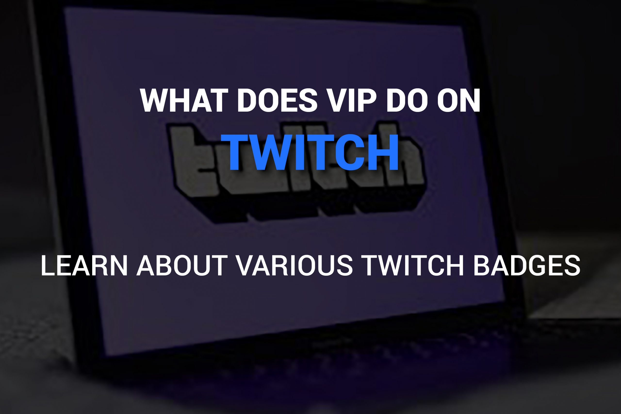 what does VIP do on twitch